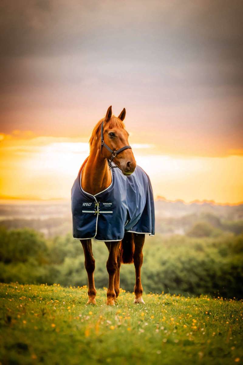 Amigo® Ripstop 900D Fleece Lined Turnout (50g Light) rug