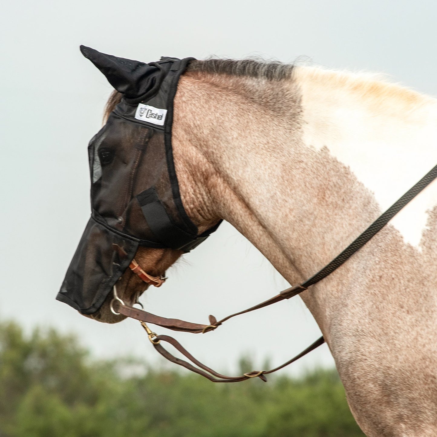 CASHEL QUIET RIDE - FLY PROTECTION YOU CAN RIDE IN