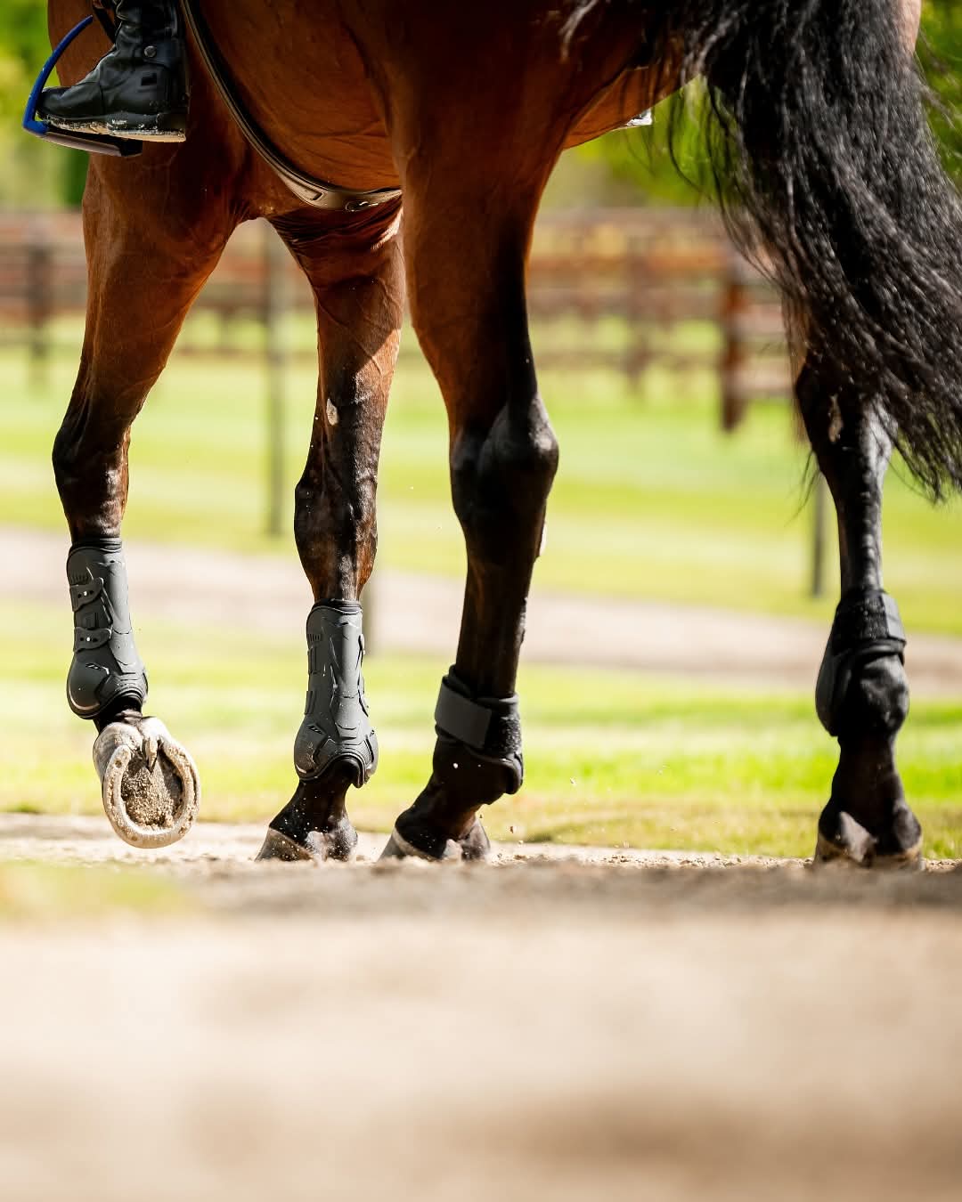 Horseware Pro Bamboo Fetlock Boots