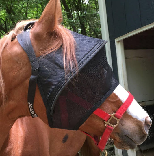 Equivizor™ Solar Veil