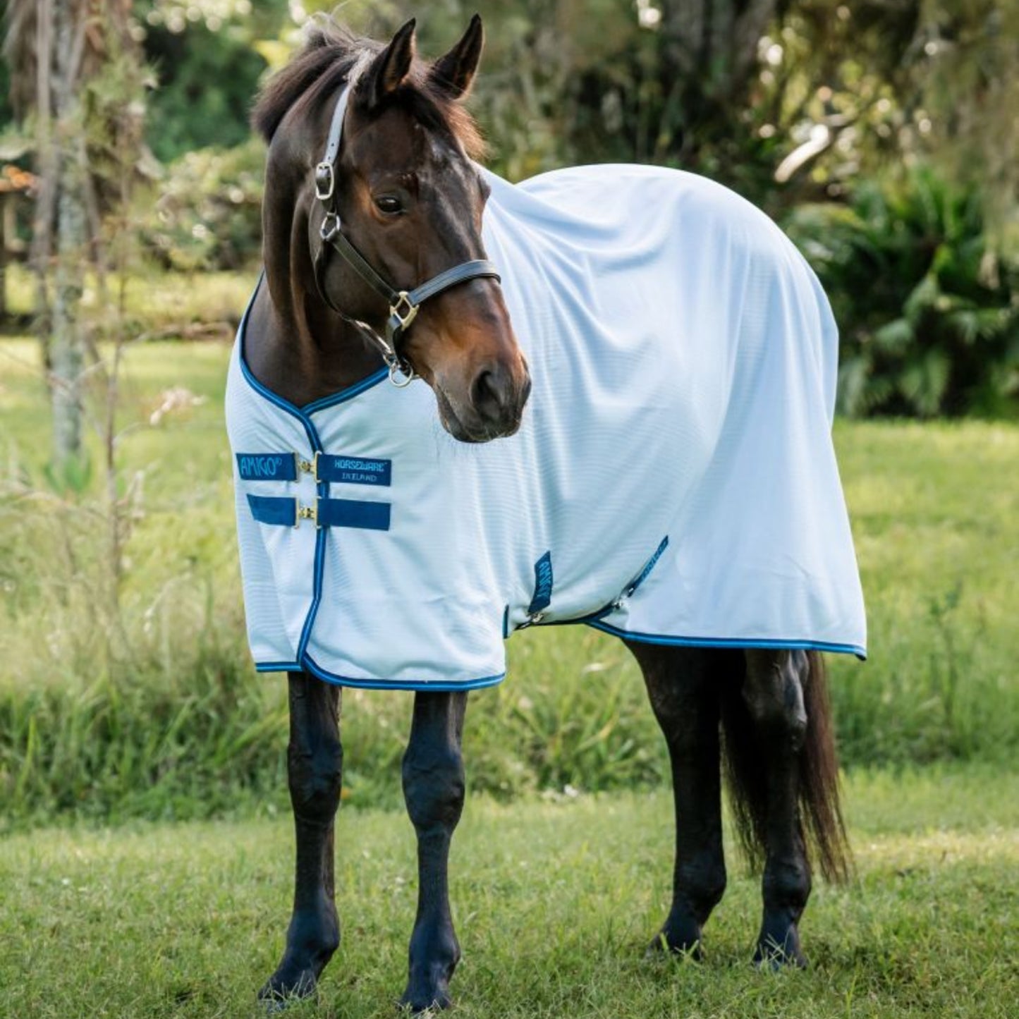Amigo Bug Rug Plus Pony