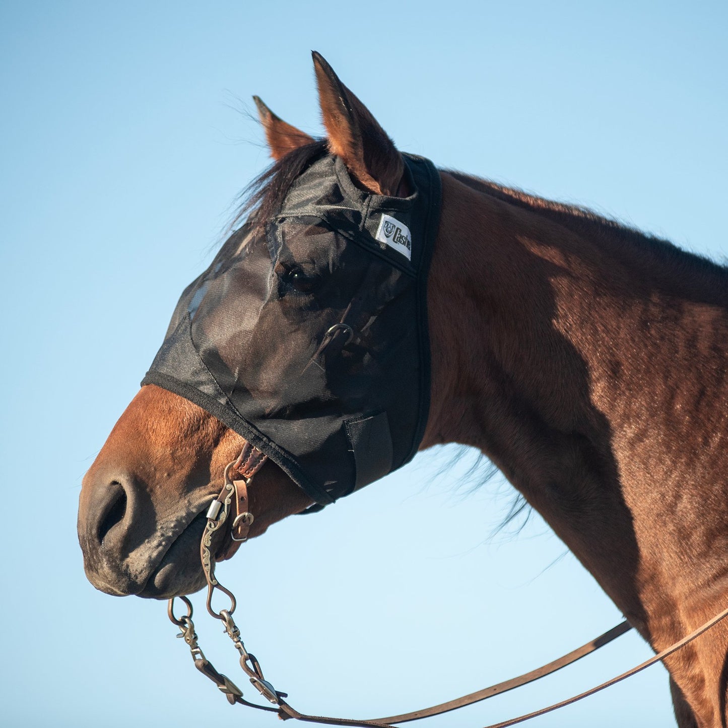 CASHEL QUIET RIDE - FLY PROTECTION YOU CAN RIDE IN