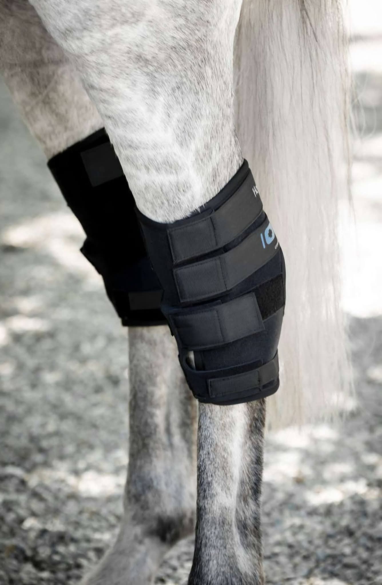 Horseware Ionic Hock Boots
