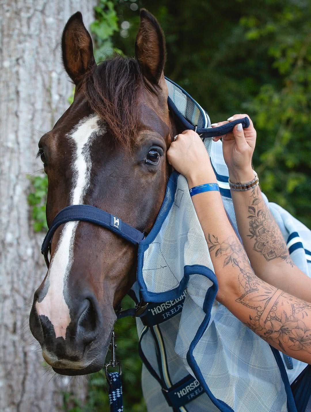 Horseware® Newmarket Plus Fly Sheet