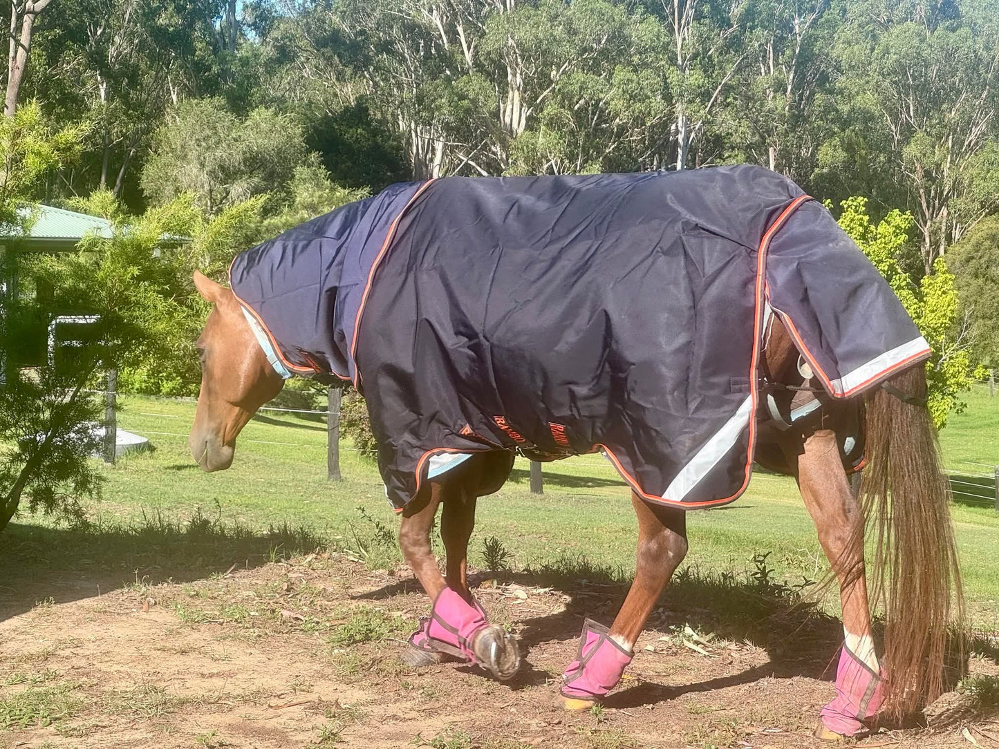 Rambo Supreme 1680D 50G Turnout