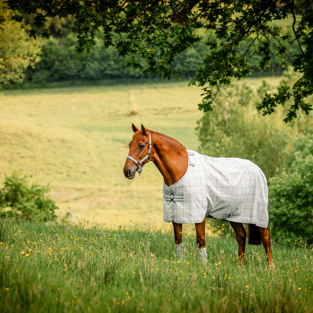 Horseware® Newmarket Plus Fly Sheet