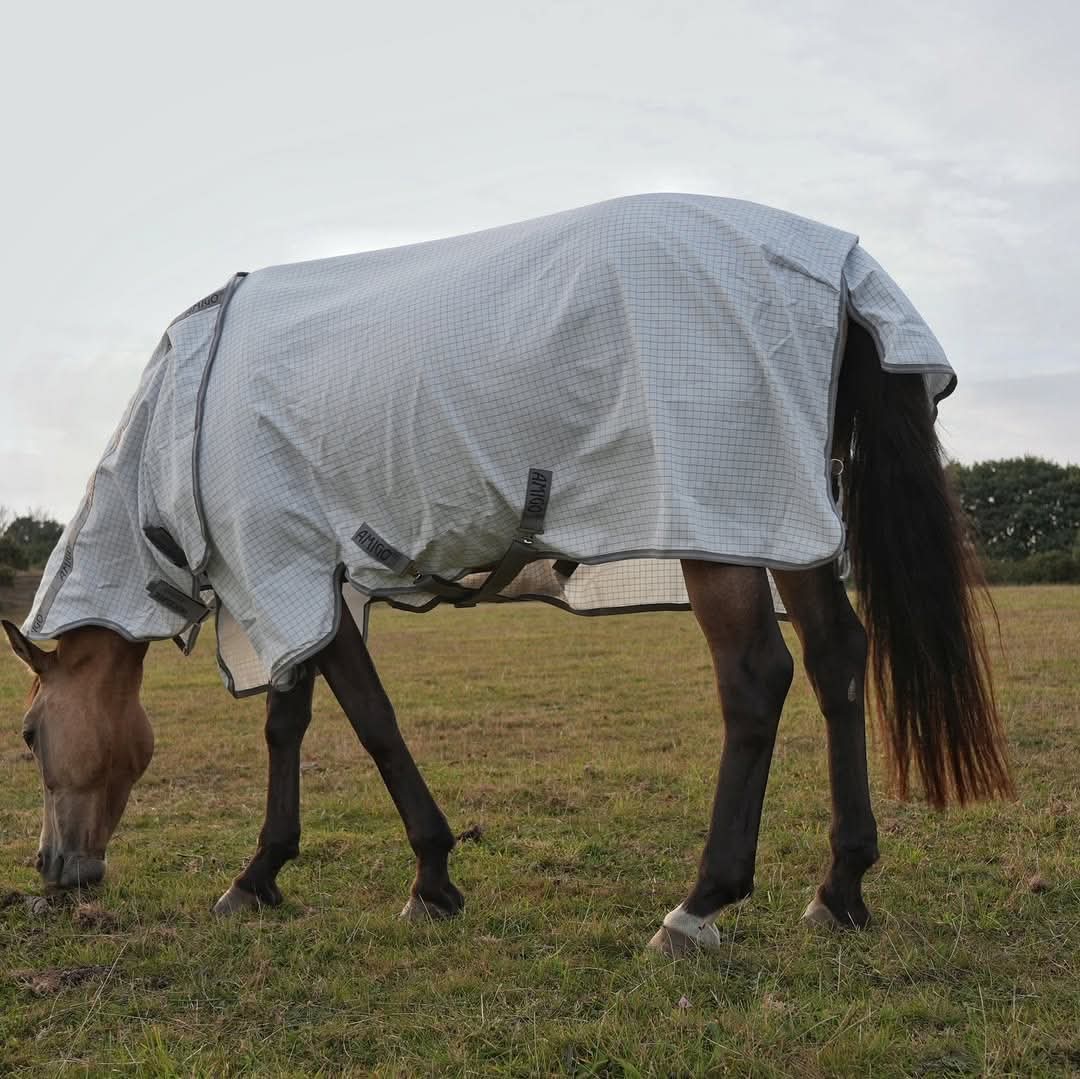 Amigo Summer Sheet Plus