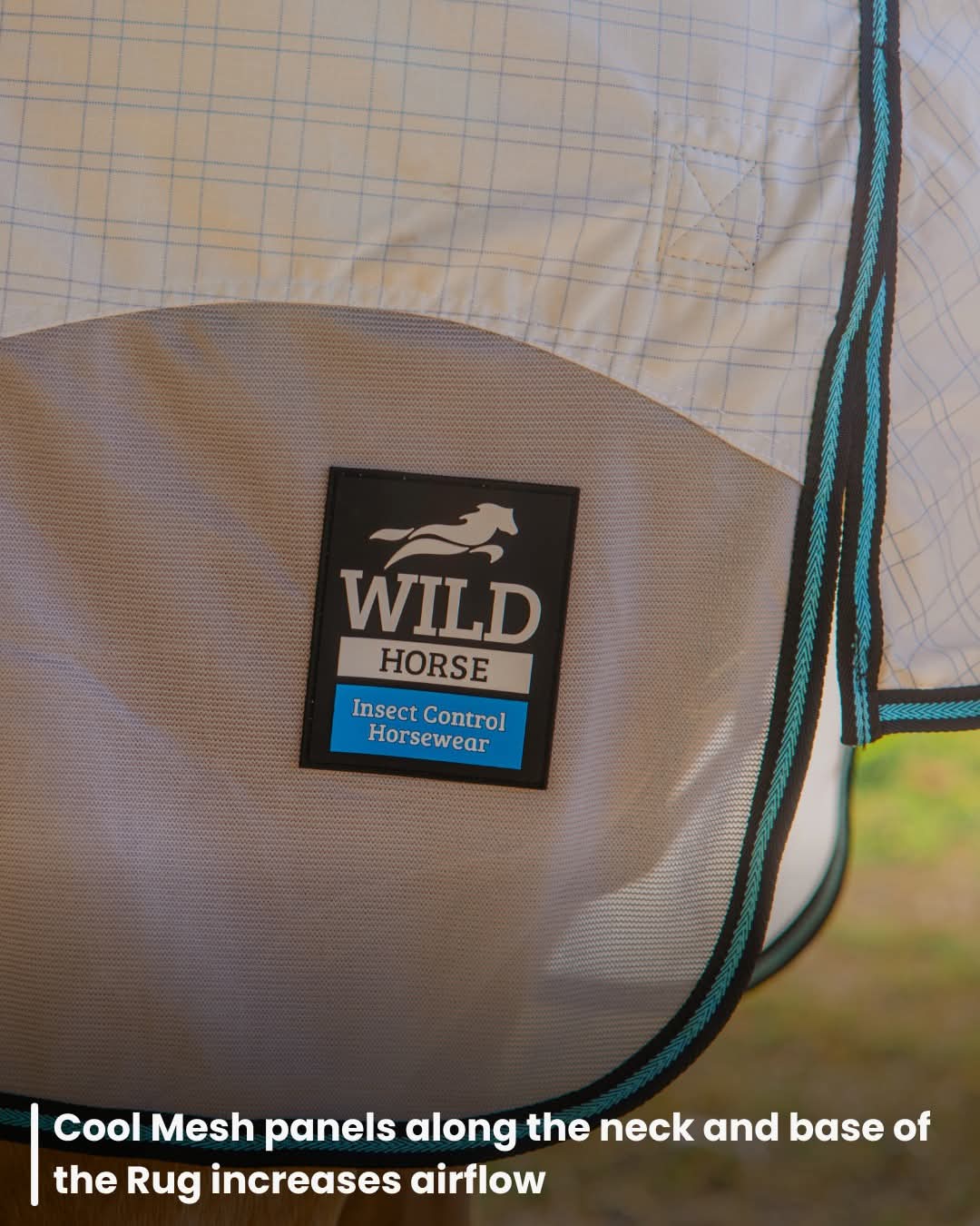 WILD HORSE INSECT CONTROL DUO RUG WITH ATTACHED HOOD