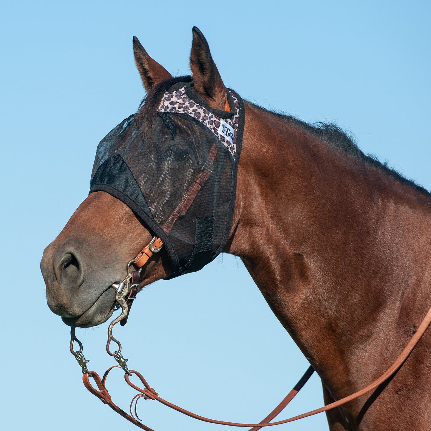 CASHEL QUIET RIDE - FLY PROTECTION YOU CAN RIDE IN