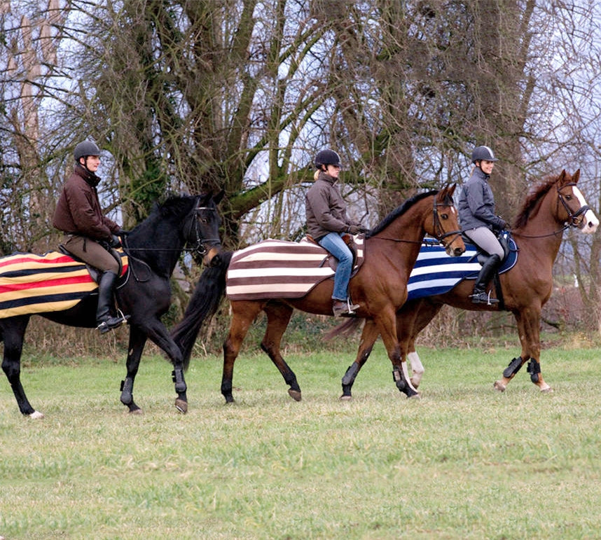 Horseware Newmarket Fleece Exercise Sheet
