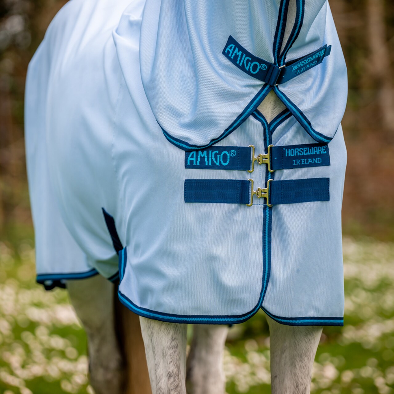 Amigo Bug Rug Plus Pony