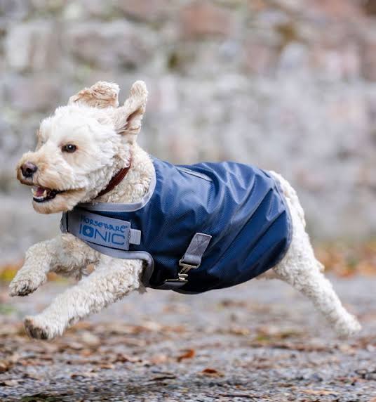 Horseware Ionic Therapy Dog Coat 50g