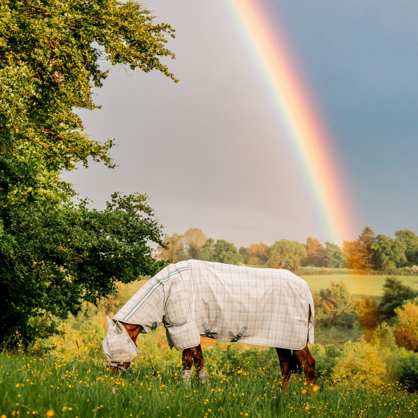 Horseware® Newmarket Plus Fly Sheet