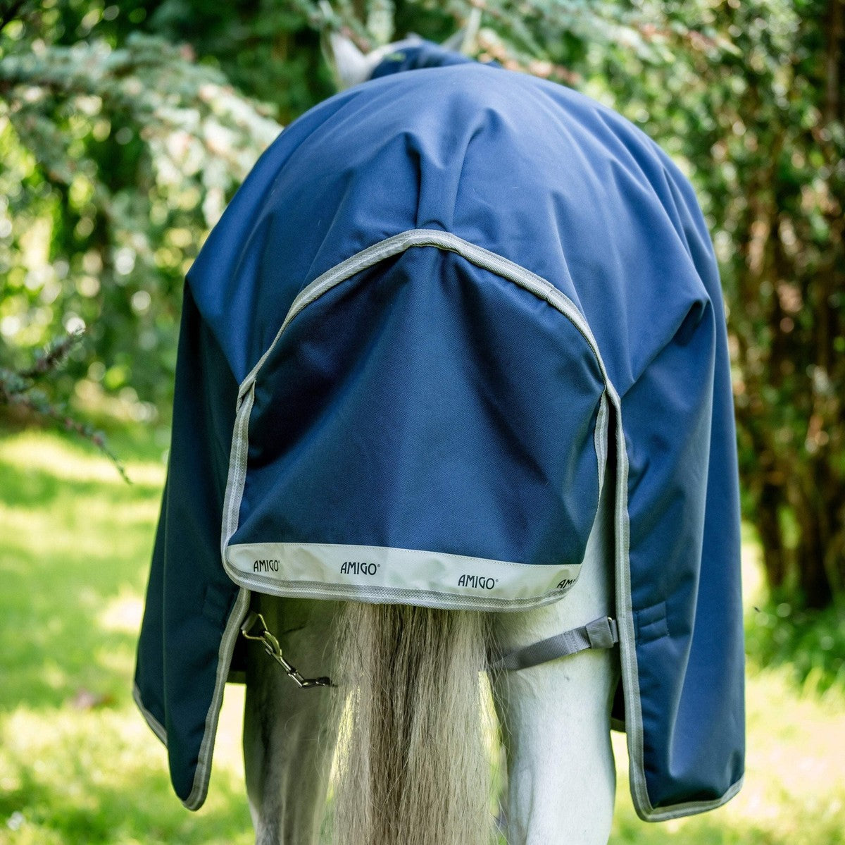 Amigo Bravo 12 XL Turnout 150G Body Rug