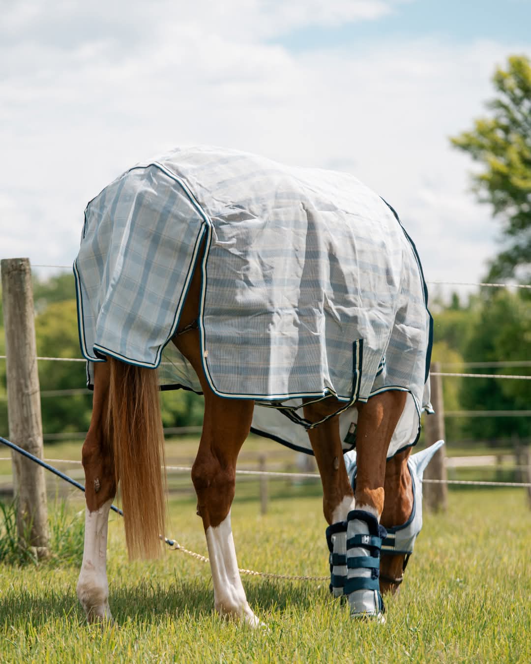 Horseware Newmarket Fly Boots