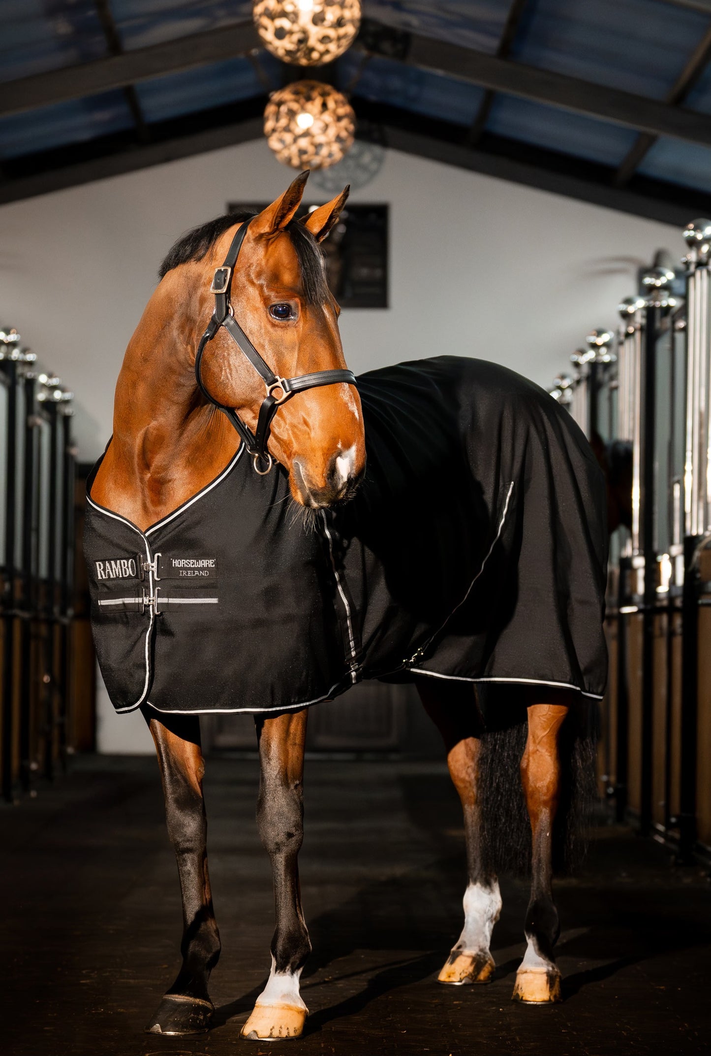 RAMBO STABLE SHEET