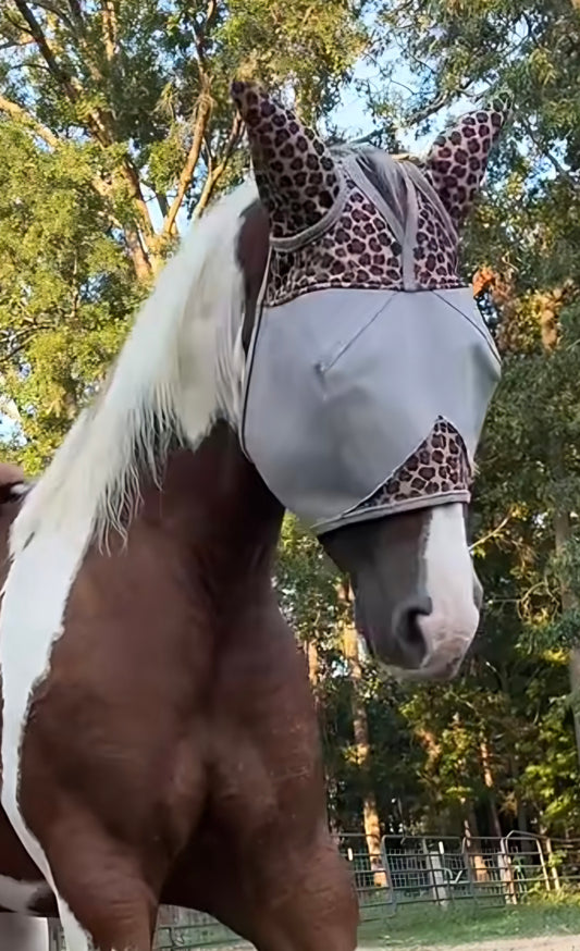 CASHEL CRUSADER & FLY BUSTER FLY MASKS FOR COB, HORSE, WB & DRAFT