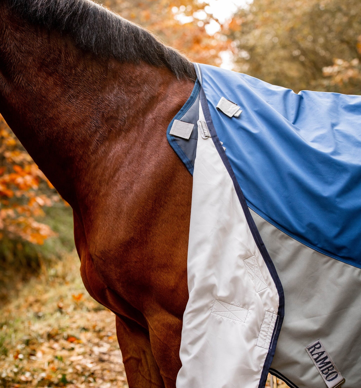 Rambo Autumn Series Turnout