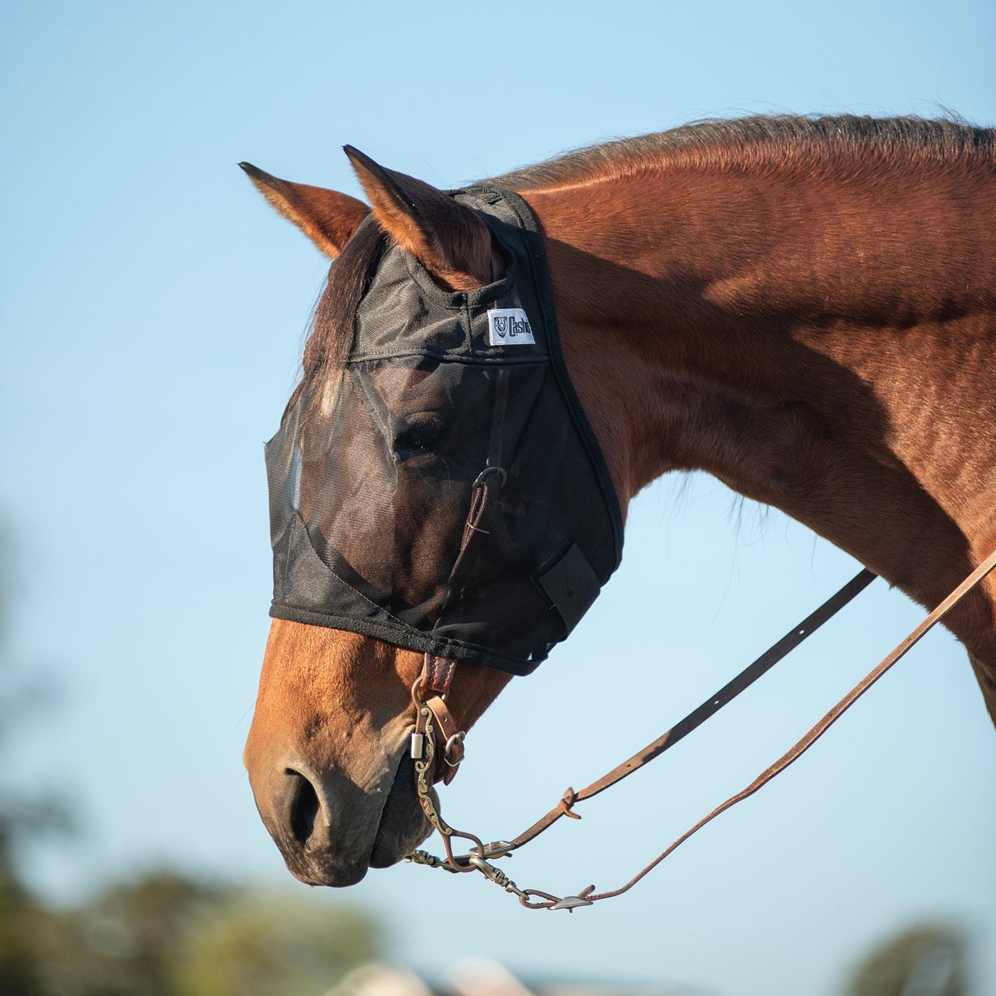 CASHEL QUIET RIDE - FLY PROTECTION YOU CAN RIDE IN