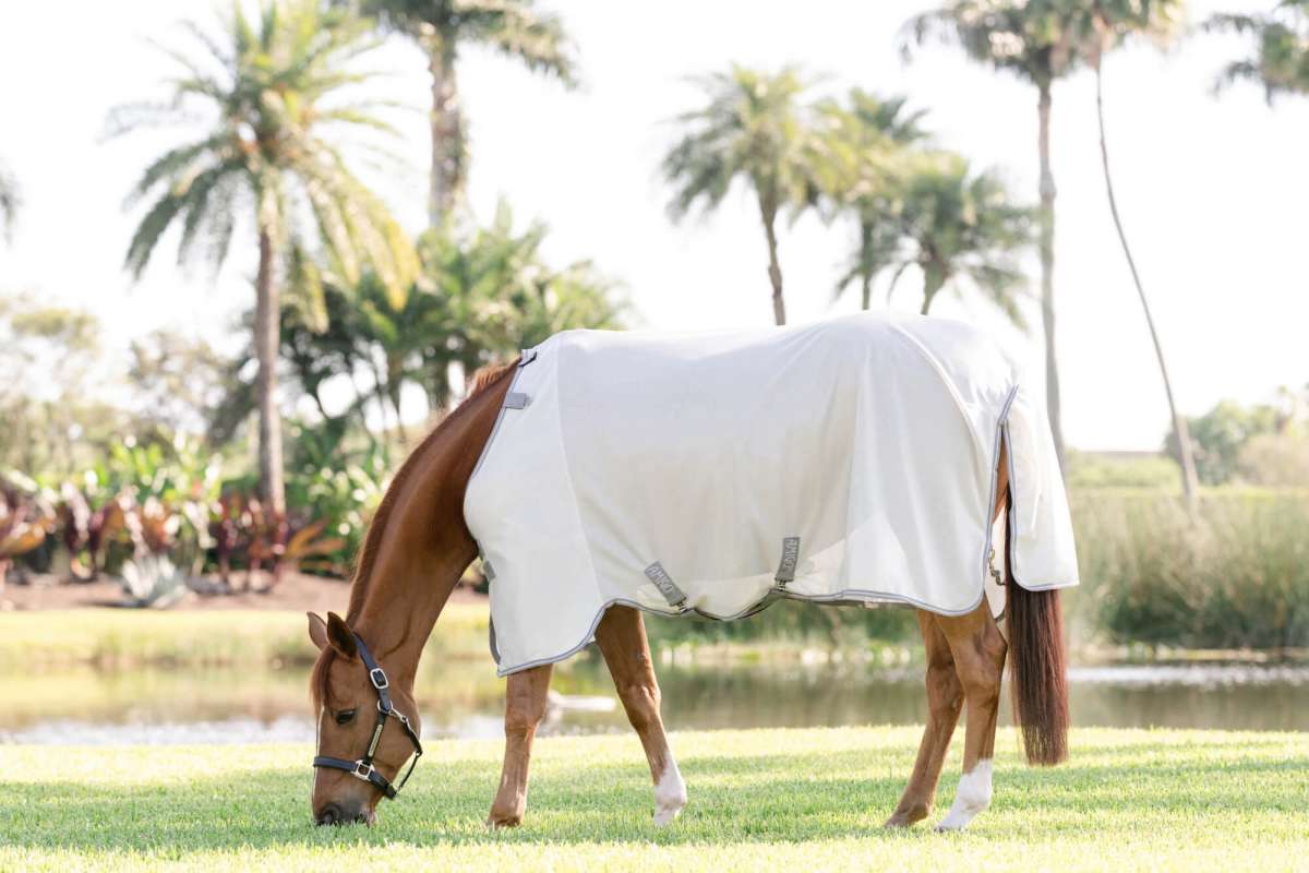AMIGO BUG RUG XL PLUS New 2025