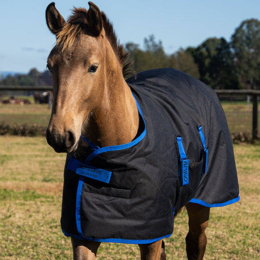 Amigo 50G Foal Rug New 2025 Season's