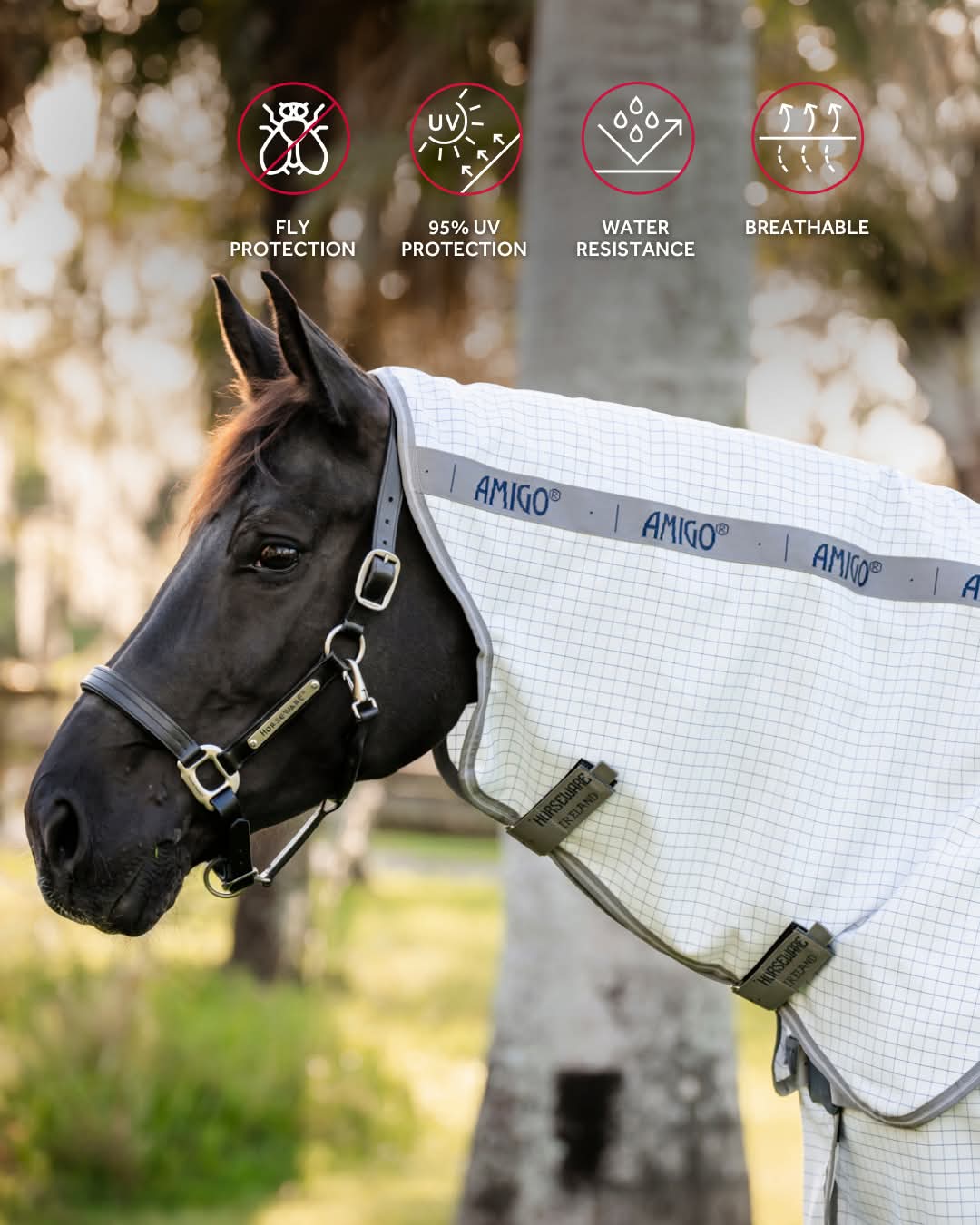 Amigo Summer Sheet Plus