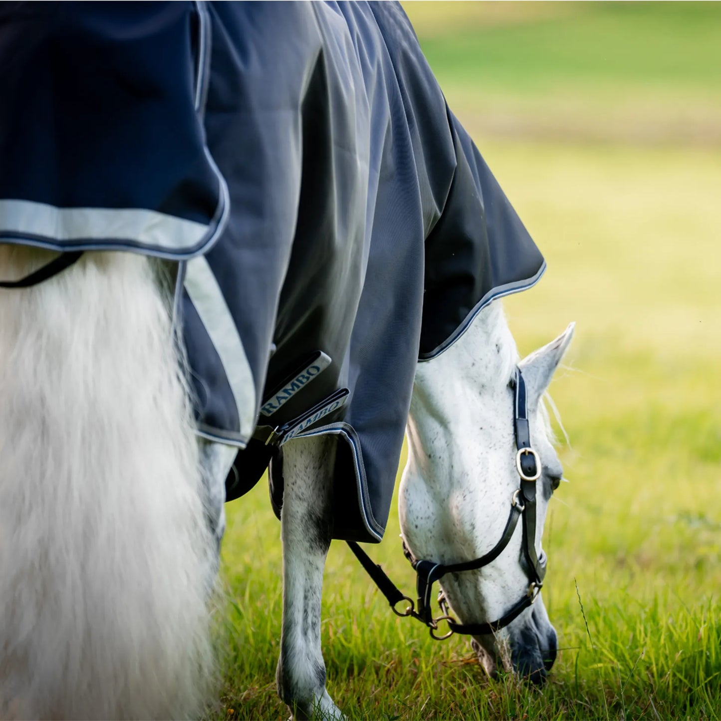 Rambo® Supreme 1680D Plus Turnout 50g - 10 Year Waterproof Guarantee.