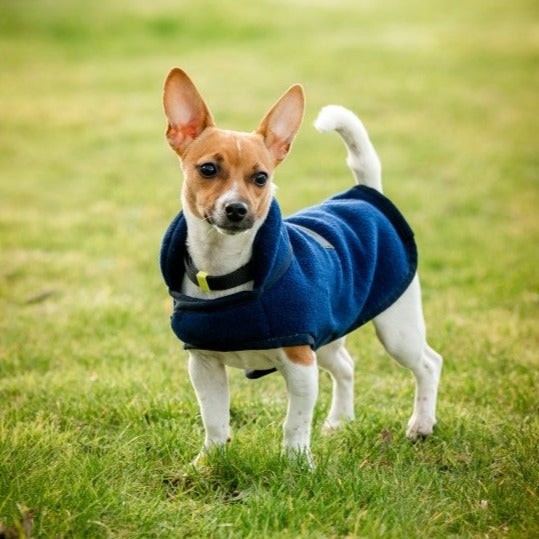 Horseware Signature Dog Fleece