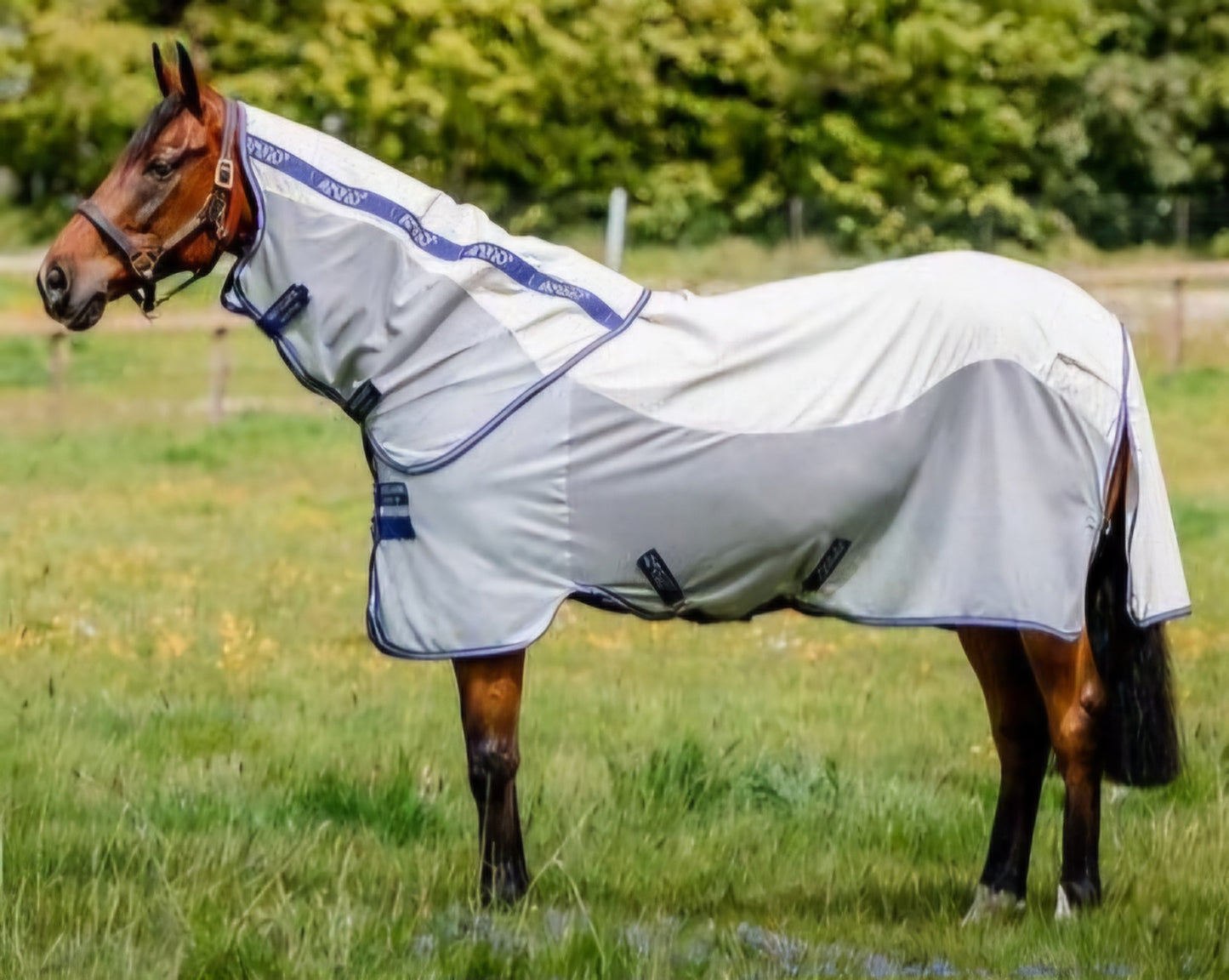 Amigo Airflow Pony Classic Front