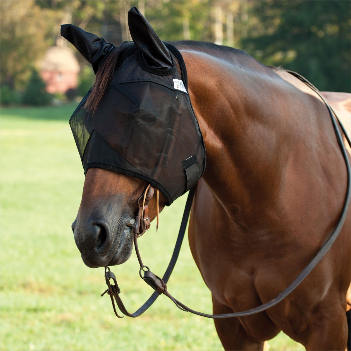CASHEL QUIET RIDE - FLY PROTECTION YOU CAN RIDE IN