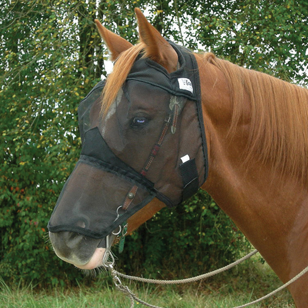 CASHEL QUIET RIDE - FLY PROTECTION YOU CAN RIDE IN