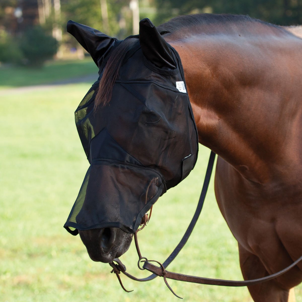 CASHEL QUIET RIDE - FLY PROTECTION YOU CAN RIDE IN