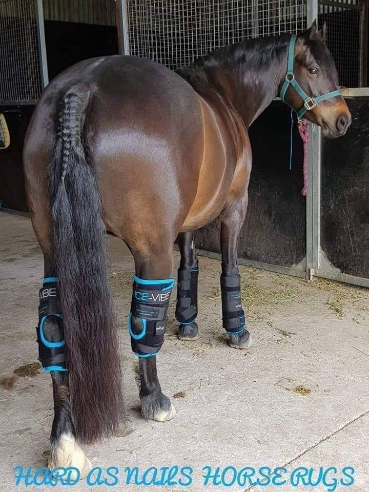 ICE-VIBE HOCK BOOTS With A Free Cooler Carry Bag