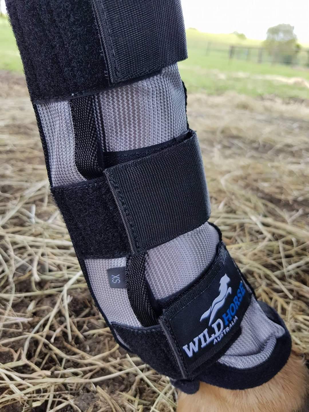 WILD HORSE PROTECTOR INSECT BOOTS