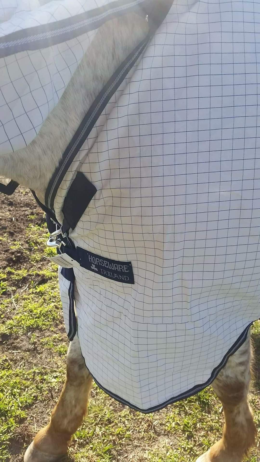 RAMBO ALLROUNDER V-FRONT