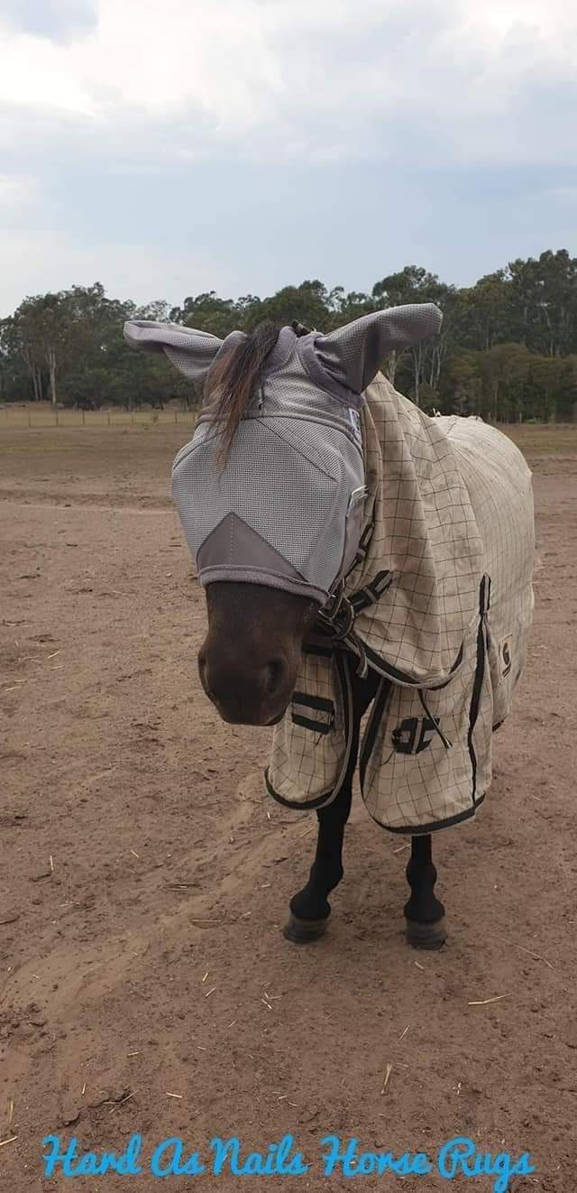 CASHEL & FLY BUSTER FLY MASKS FOR PONIES, FOALS, WEANLINGS & YEARLINGS
