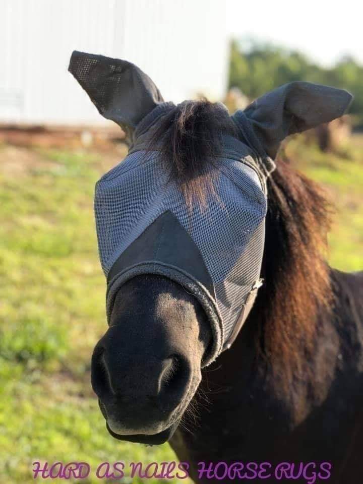 CASHEL & FLY BUSTER FLY MASKS FOR PONIES, FOALS, WEANLINGS & YEARLINGS