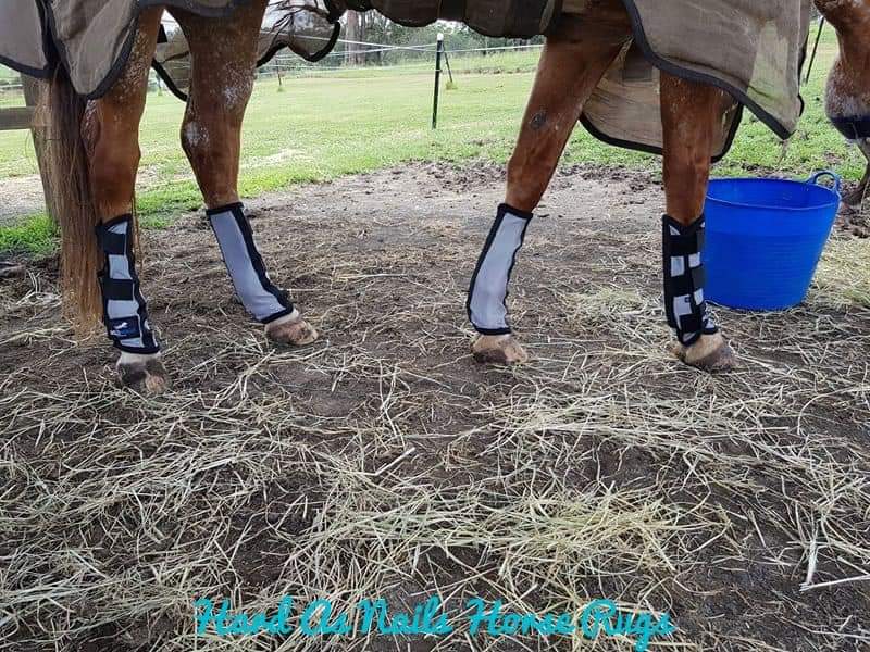 WILD HORSE PROTECTOR INSECT BOOTS