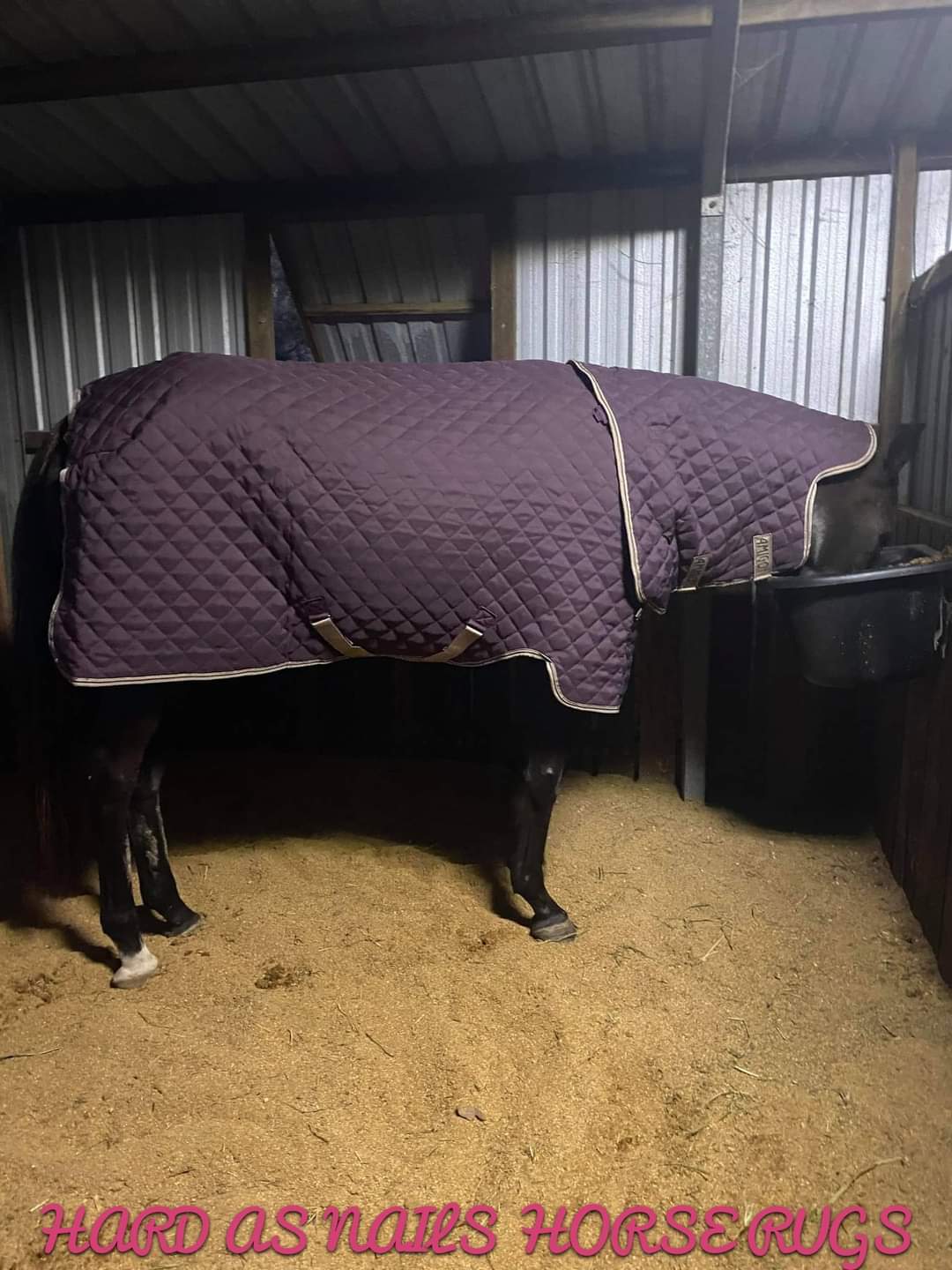 AMIGO QUILTED STABLE PLUS 200G
