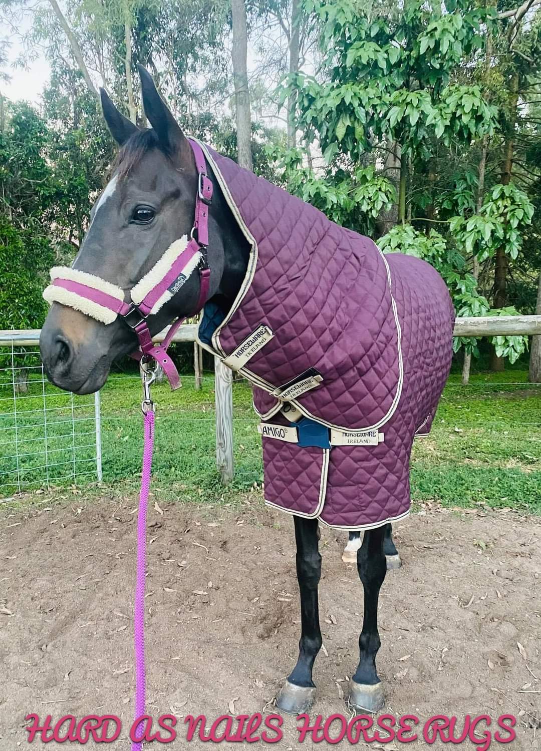 AMIGO QUILTED STABLE PLUS 200G