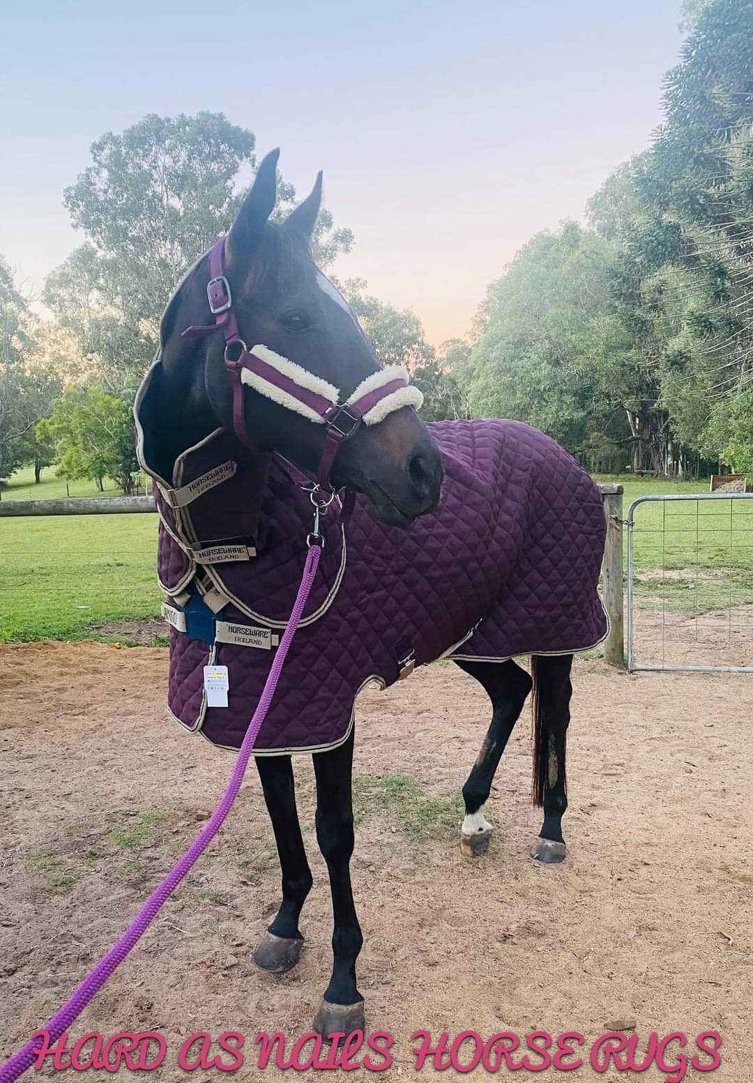 AMIGO QUILTED STABLE PLUS 200G