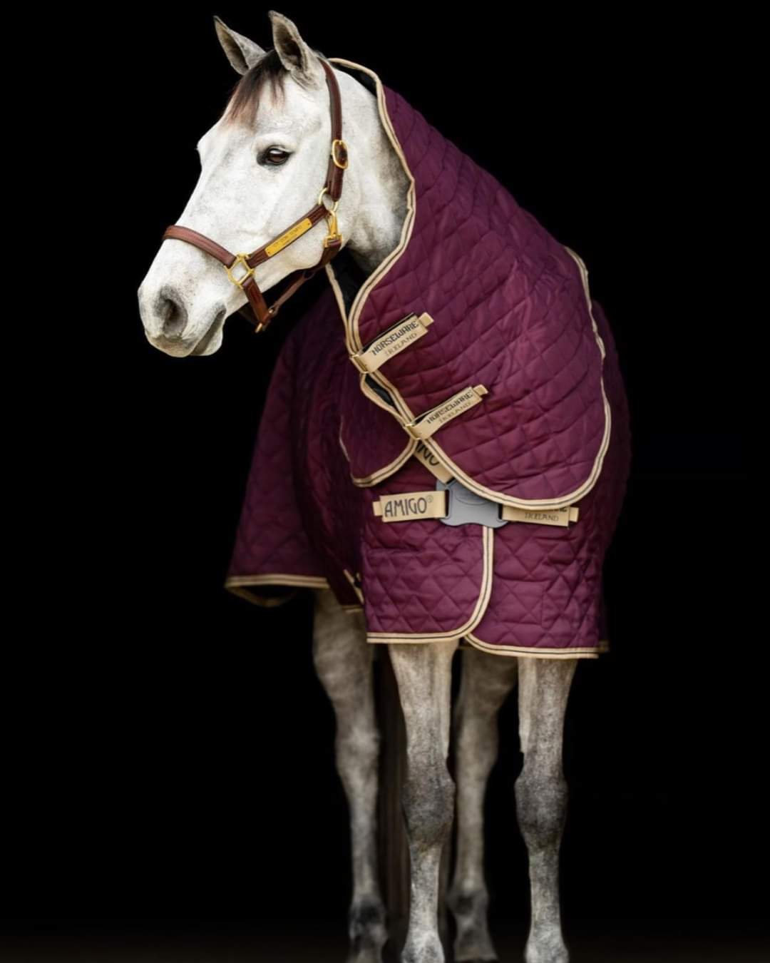 AMIGO QUILTED STABLE PLUS 200G