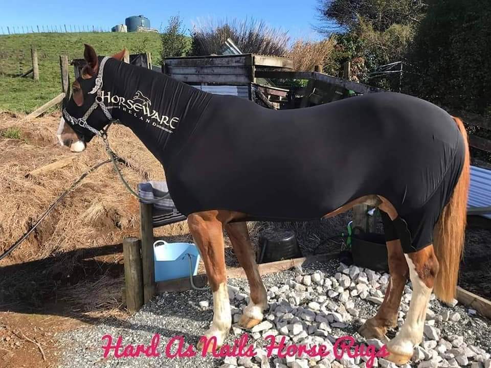 RAMBO SLINKY FULL BODY SUIT
