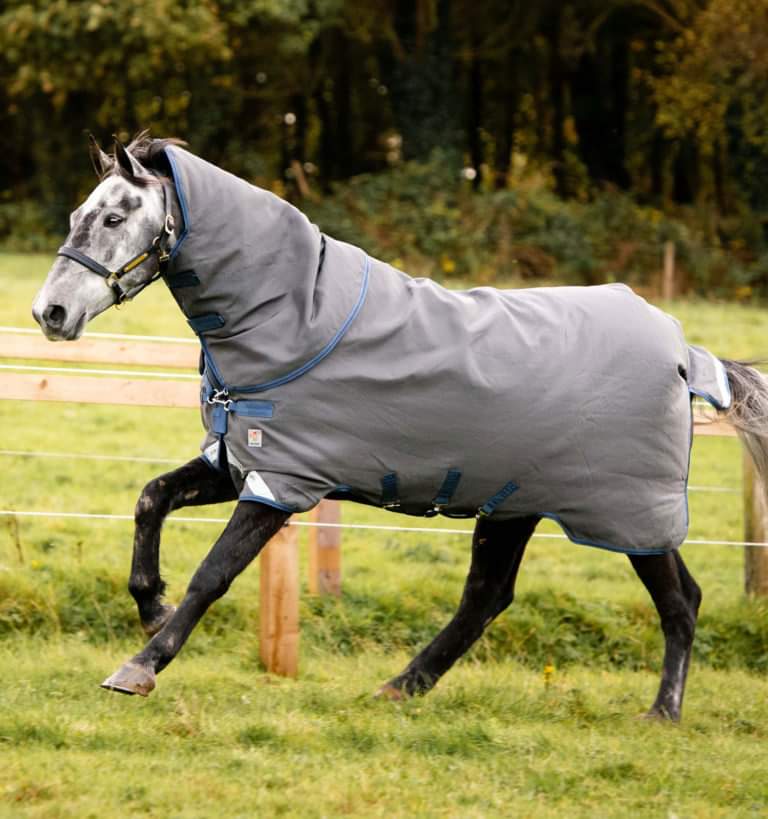 🔖RHINO PLUS HEXSTOP 100G TURNOUT