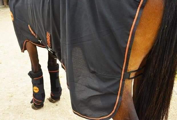 RAMBO IONIC STABLE BOOTS