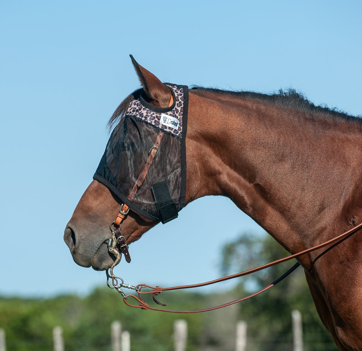 CASHEL QUIET RIDE - FLY PROTECTION YOU CAN RIDE IN