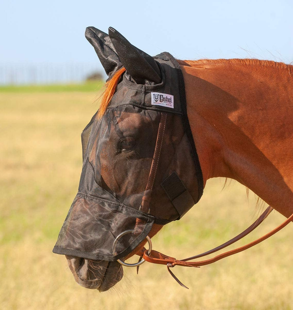 CASHEL QUIET RIDE - FLY PROTECTION YOU CAN RIDE IN