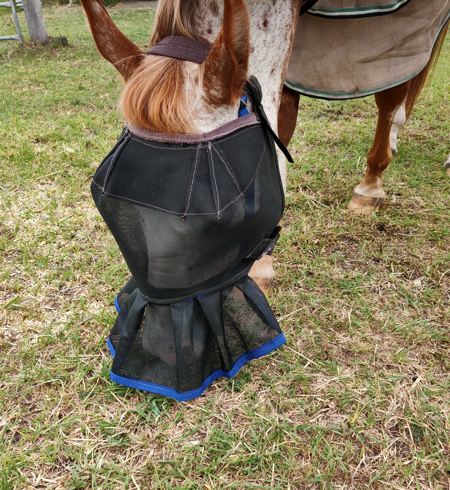 🚩UV PROTECTION 2 PIECE PAIR. FV41 VEIL WITH A NOSE SKIRT