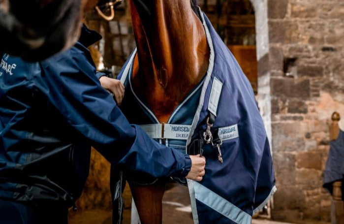 HORSEWARE DRY LINER