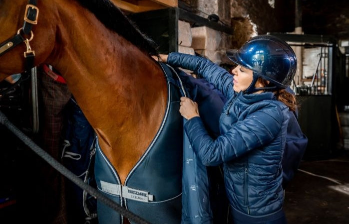 HORSEWARE DRY LINER